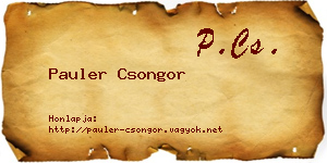 Pauler Csongor névjegykártya
