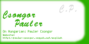 csongor pauler business card